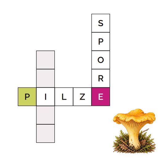Kreuzworträtsel